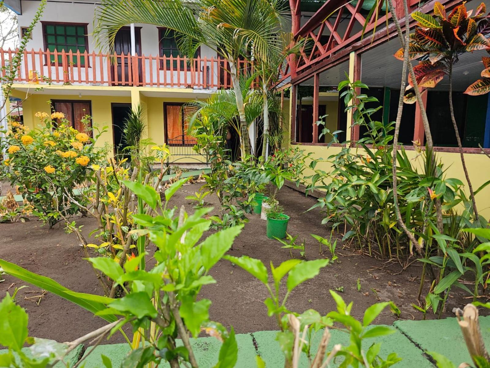 Cabinas Miss Miriam 2 Tortuguero Εξωτερικό φωτογραφία